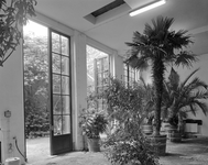 65349 Interieur van de oranjerie van de Hortus Botanicus van de Rijksuniversiteit (Nieuwegracht 185) te Utrecht.